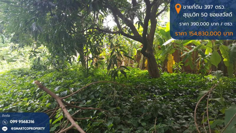 ขายที่ดิน 397 ตรว. ถมแล้ว สุขุมวิท 50 ซอยสวัสดี พื้นที่สีส้ม บรรยากาศดี 