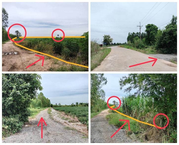 ขายที่ดิน ซอย บ้านหนองไทร ต.บ้านไร่ อ.ลาดยาว จ.นครสวรรค์ 34 ไร่ โฉนดครุฑแดง