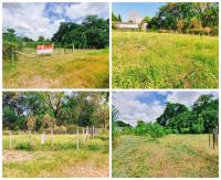 ขายที่ดินเปล่า ในตัวเมืองเชียงใหม่ สำหรับคนที่สนใจอยากปลูกบ้านในเมืองใกล้สถานที่