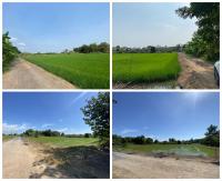 ขายที่ดินเปล่า เนื้อที่ 2 ไร่ ซอยฉลองกรุง54 ลาดกระบัง กรุงเทพ ติดถนน ฉลองกรุง 