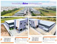 BIGGERLAND PHASE 4 - คลอง 8 โรงงานพร้อมออฟฟิศมาตรฐานอุตสาหกรรม บนทำเลสีม่วงเข้ม!