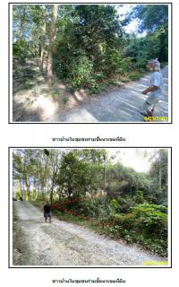 ขายที่ดินเปล่า