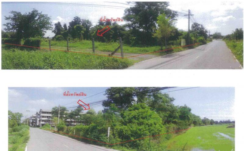 วังทอง วังทอง พิษณุโลก
