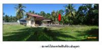 ขายที่ดินพร้อมสิ่งปลูกสร้าง หมู่ที่ 3  ตลิ่งงาม เกาะสมุย สุราษฎร์ธานี ขนาด 4-0-9.4 ของ ธนาคารกรุงไทย