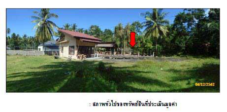 หมู่ที่ 3  ตลิ่งงาม เกาะสมุย สุราษฎร์ธานี