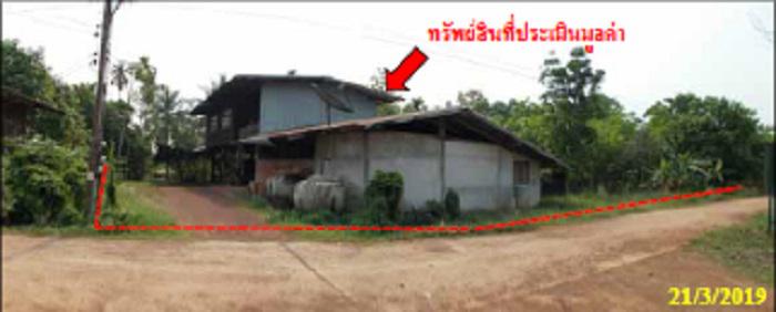9  ดงเหนือ บ้านม่วง สกลนคร
