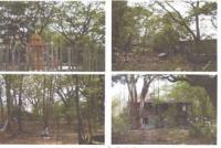 ขายที่ดินพร้อมสิ่งปลูกสร้าง