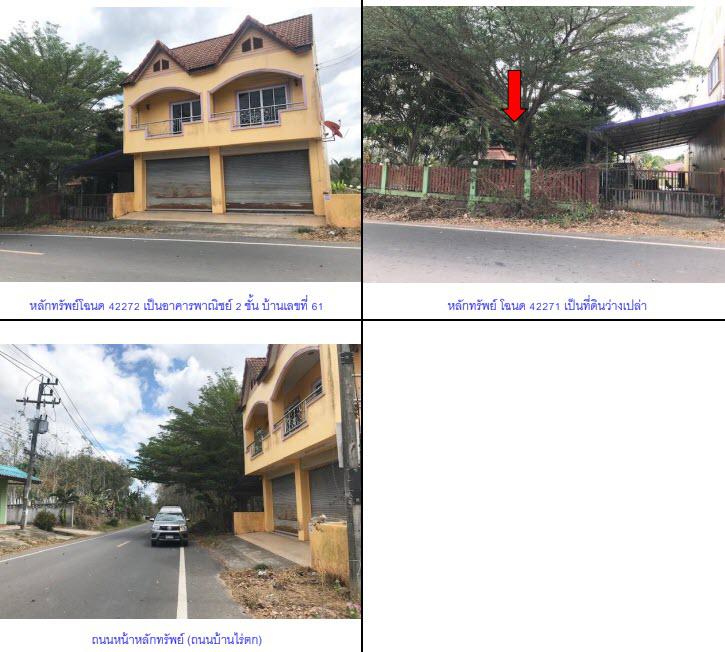 61  สำนักขาม สะเดา สงขลา