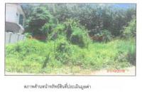 ขายที่ดินเปล่า