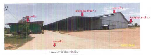 88 หมู่ที่ 2  ระโนด ระโนด สงขลา