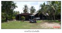 ขายที่ดินพร้อมสิ่งปลูกสร้าง