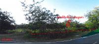 ขายที่ดินเปล่า