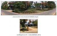 ขายที่ดินพร้อมสิ่งปลูกสร้าง