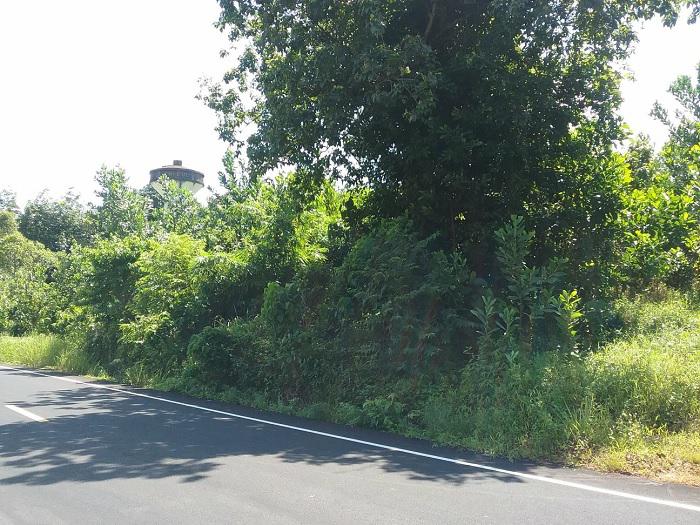 บางนายสี ตะกั่วป่า พังงา