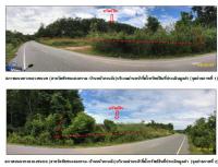 ขายที่ดินเปล่า