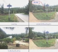 ขายที่ดินพร้อมสิ่งปลูกสร้าง