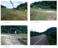 ขายที่ดินเปล่า