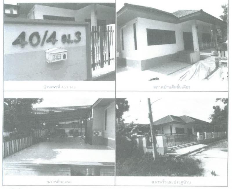 40/4 หมู่ 3  นาทวี นาทวี สงขลา
