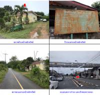 ขายบ้านเดี่ยว 362 หมู่ 1  ควนขัน เมืองสตูล สตูล ขนาด 0-3-35 ของ ธนาคารกรุงไทย