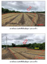 ขายที่ดินเปล่า