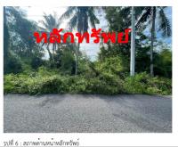 ขายที่ดินเปล่า