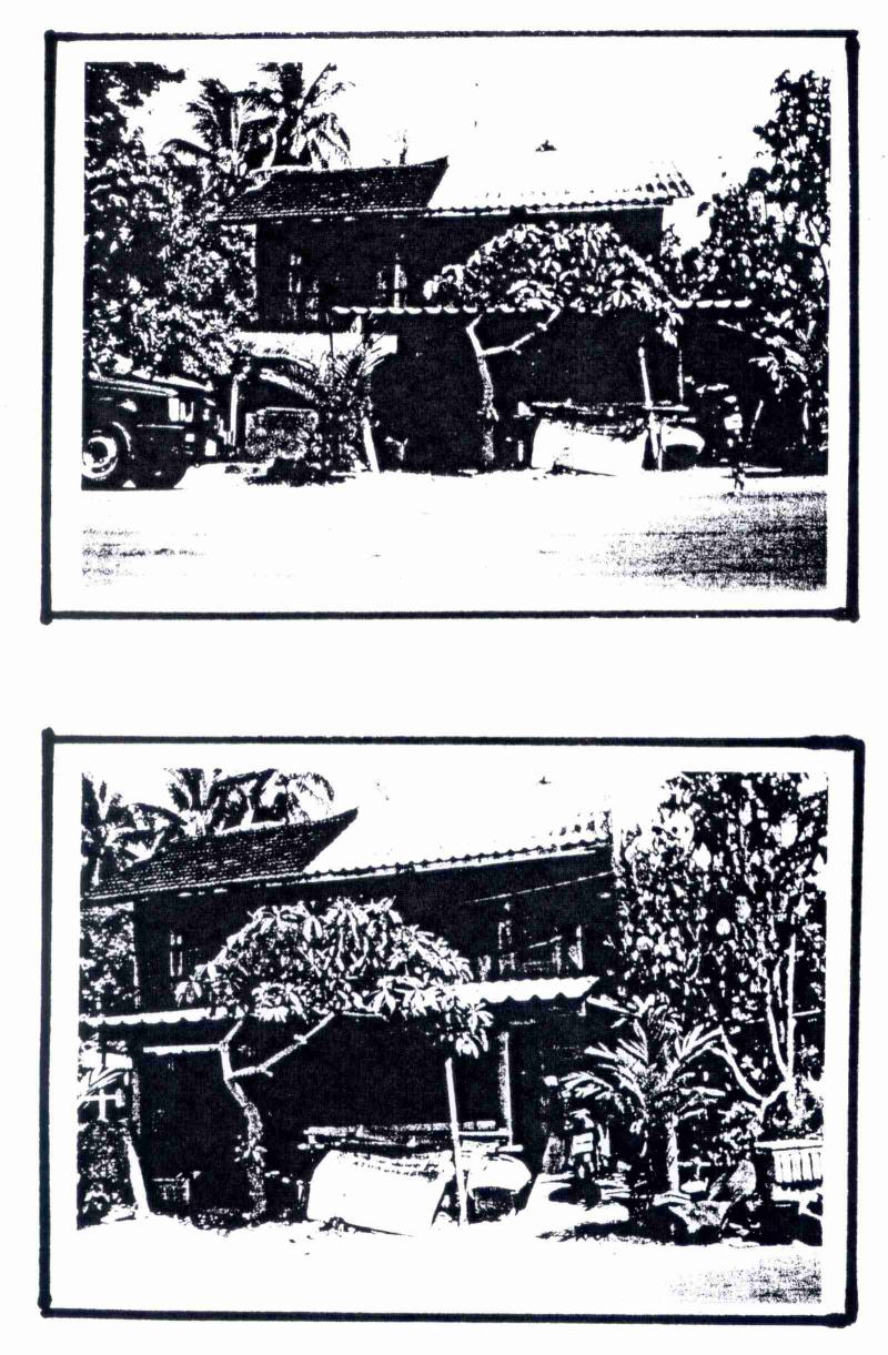 142  เฉลิม ระแงะ นราธิวาส