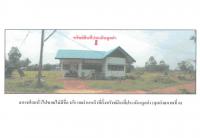 ขายที่ดินพร้อมสิ่งปลูกสร้าง บุ่ง เมืองอำนาจเจริญ อำนาจเจริญ ขนาด 0-0-71.5 ของ ธนาคารออมสิน