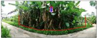 ขายที่ดิน