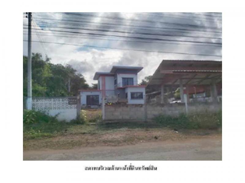 ทานตะวัน พาน เชียงราย