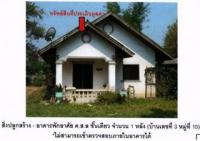 ขายที่ดินพร้อมสิ่งปลูกสร้าง แม่เจดีย์ เวียงป่าเป้า เชียงราย ขนาด 0-1-65 ของ ธนาคารออมสิน