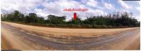 ขายที่ดิน