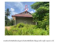 ขายที่ดินพร้อมสิ่งปลูกสร้าง ห้วยน้ำขาว คลองท่อม กระบี่ ขนาด 0-1-31.7 ของ ธนาคารออมสิน