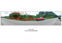 ขายที่ดิน