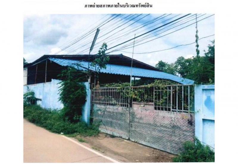 ต้นธงชัย เมืองลำปาง ลำปาง