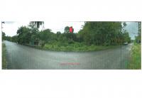 ขายที่ดิน