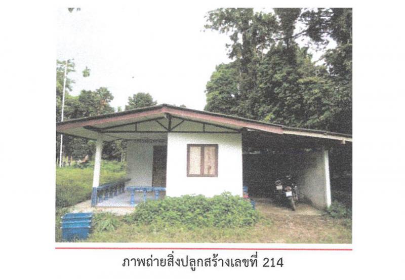 ยางค้อม พิปูน นครศรีธรรมราช