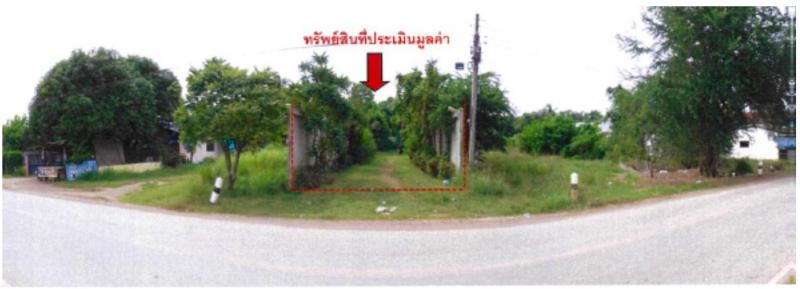 นาเฉลียง หนองไผ่ เพชรบูรณ์