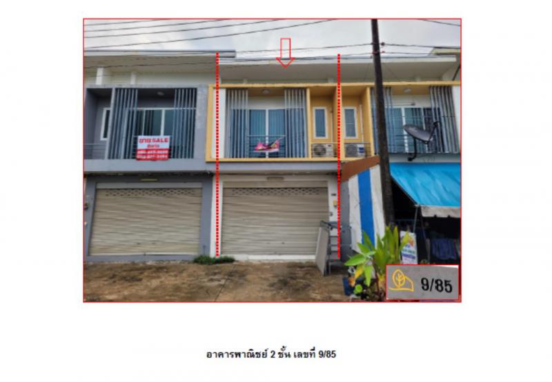 คึกคัก ตะกั่วป่า พังงา