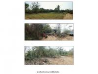 ขายที่ดิน