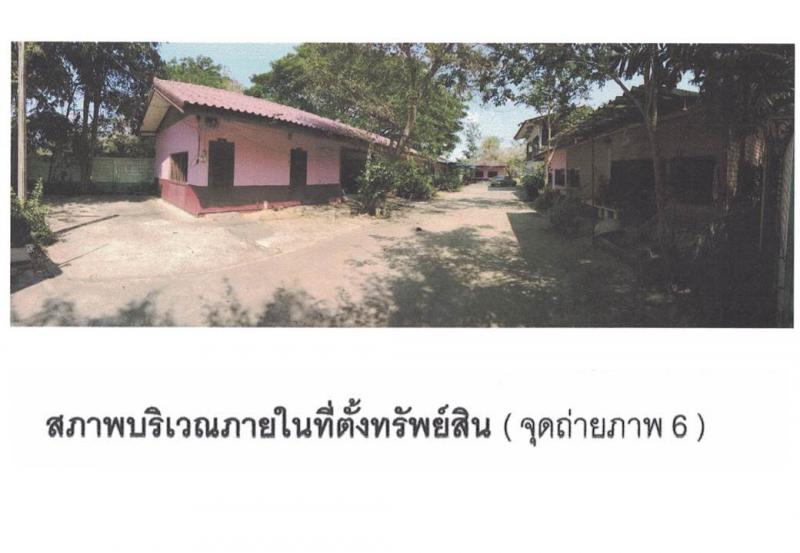 ต้นโพธิ์ เมืองสิงห์บุรี สิงห์บุรี