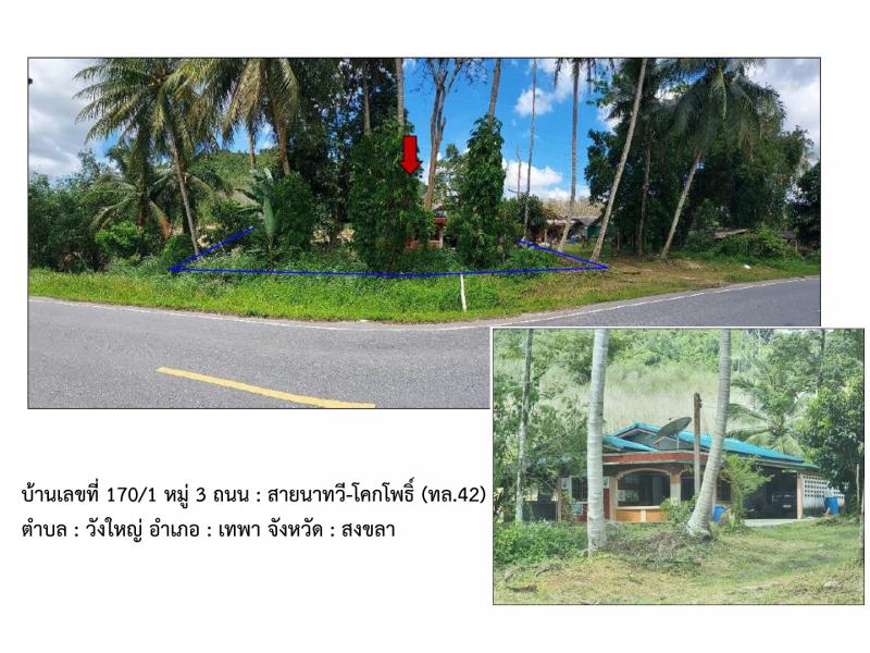วังใหญ่ เทพา สงขลา