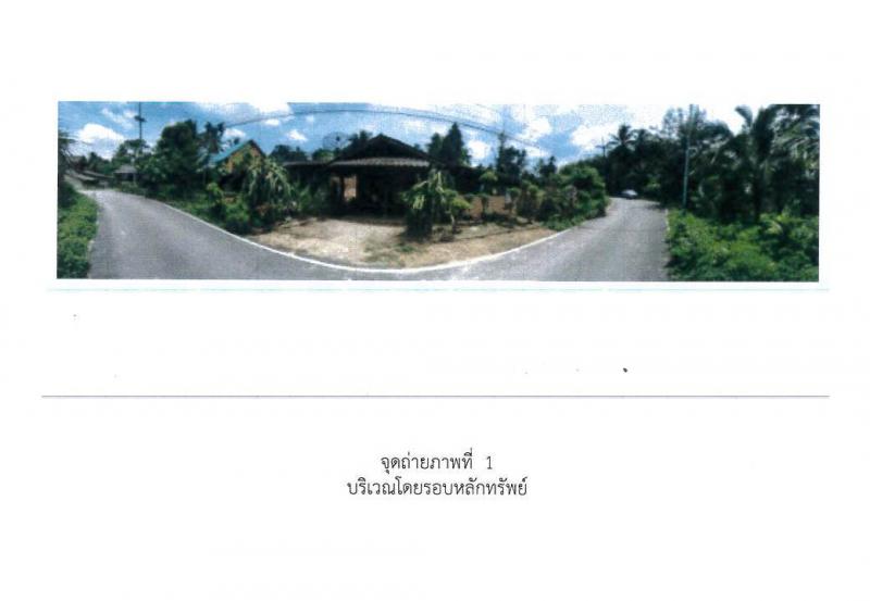 สะท้อน นาทวี สงขลา