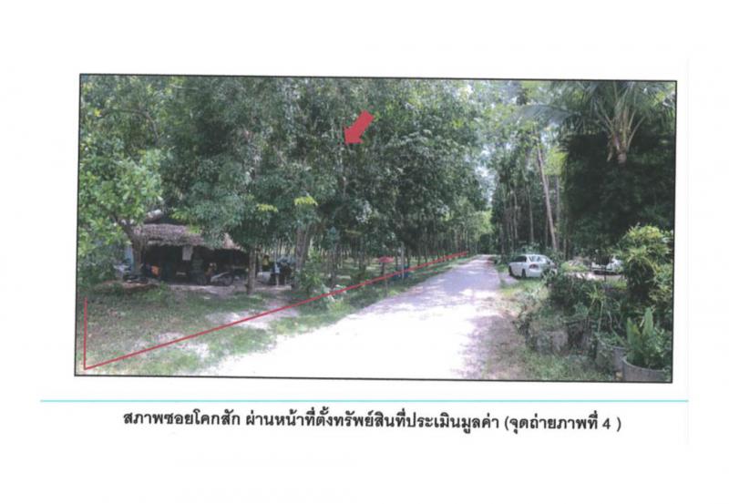 วังใหญ่ เทพา สงขลา