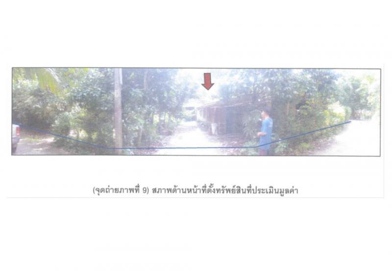 ป่าชิง จะนะ สงขลา