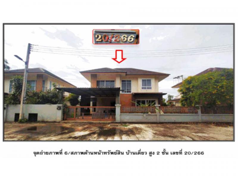 มะขามเตี้ย เมืองสุราษฎร์ธานี สุราษฎร์ธานี