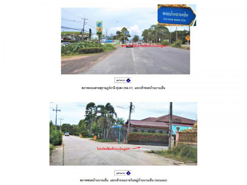 หัวเตย พุนพิน สุราษฎร์ธานี