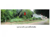 ขายที่ดิน