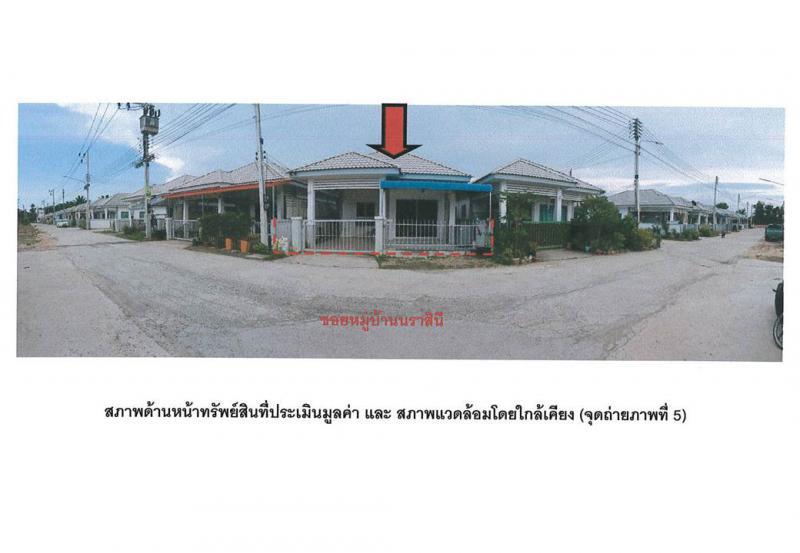มะขามเตี้ย เมืองสุราษฎร์ธานี สุราษฎร์ธานี