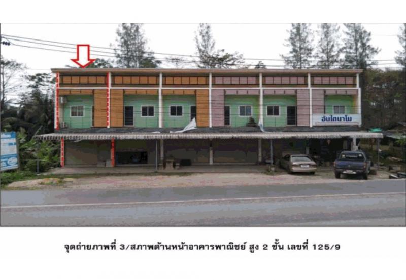 ต้นยวน พนม สุราษฎร์ธานี