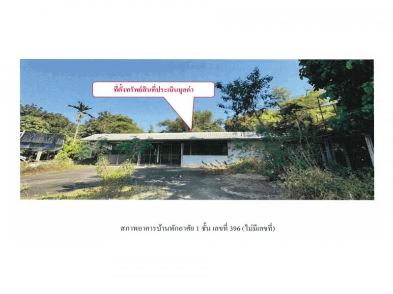 ขมิ้น เมืองสกลนคร สกลนคร